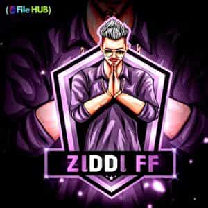 Ziddi FF Injector