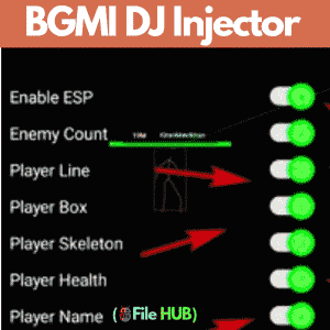 BGMI DJ Injector