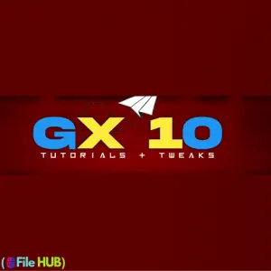 GX 10 Injector